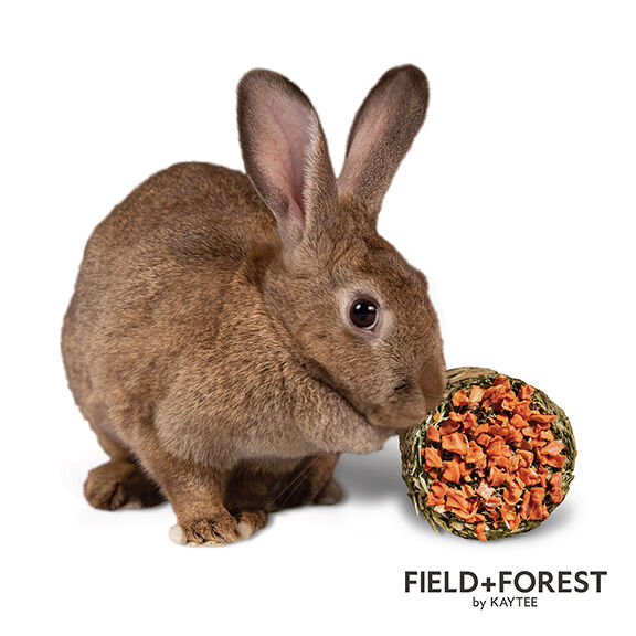 FF_SM_HayRoll_SoFunCute_Rabbit_Carrot_IG